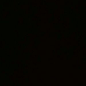 Meet your Posher, Tyson